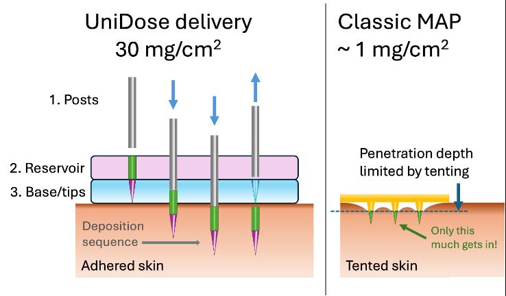 UniDose delivery vs classic microneedle patch comparison